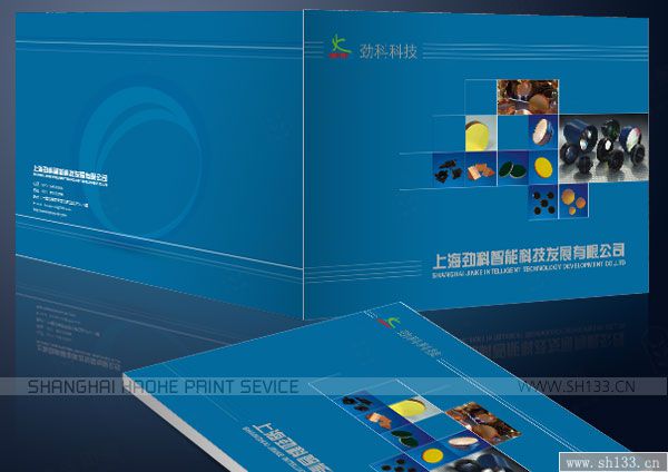 公司样本设计