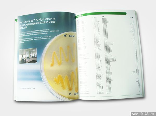杂志设计印刷 企业杂志设计 企业杂志印刷