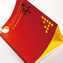 企业宣传册印刷,宣传册印刷